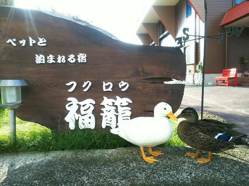 Fukurou Vila Kushimoto Exterior foto